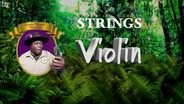 Violin: Meet Taylor, the violinist!