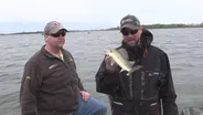 Walleyes and Solar Farms