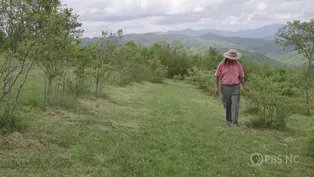 Preview | Meet Me on the Farm