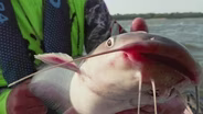 Squirrel Hunt, Giant Catfish, Nature Hike