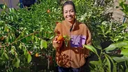 Suburban Backyard Food Forest: Phố Phạm
