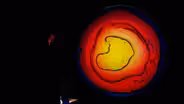 Painter Nazar Harran, Newman's Psychedelic Liquid Light Show
