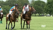 Gay Polo League