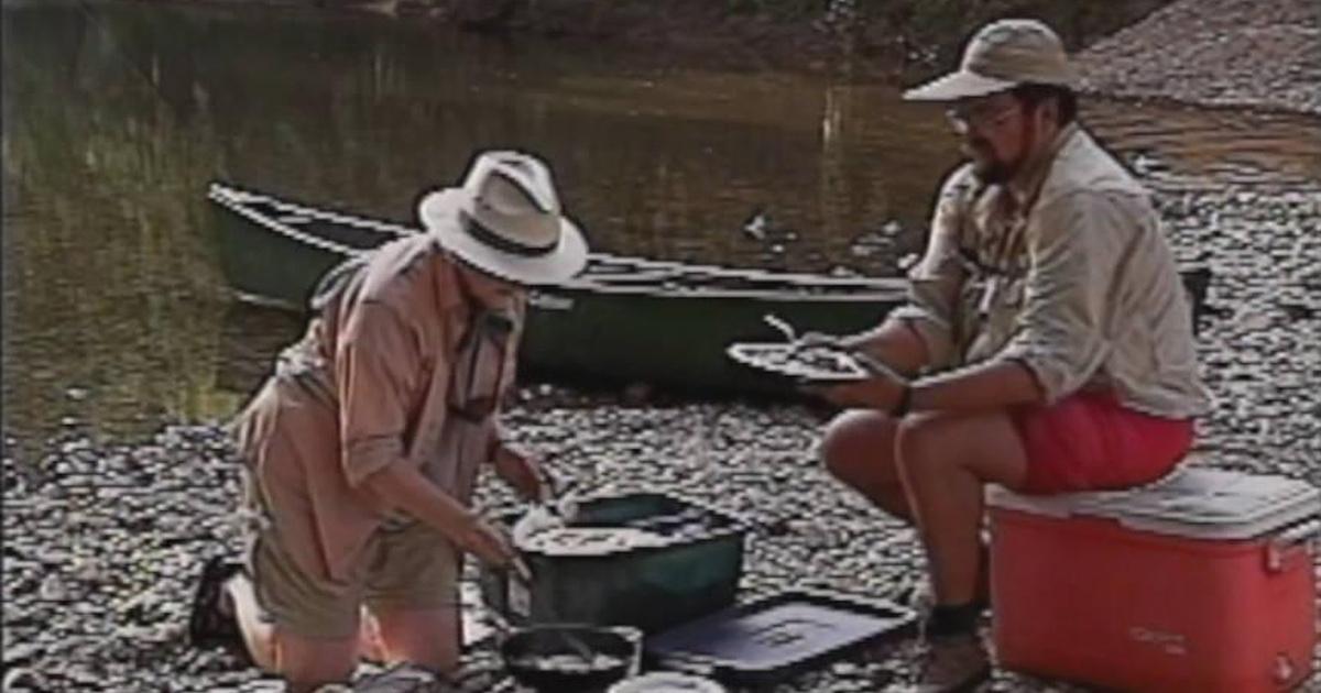 Cooking on the Wildside | Cooking on the Wild Side August 2017 | PBS