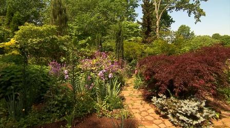 Video thumbnail: Volunteer Gardener Volunteer Gardener 3101