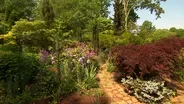 Volunteer Gardener 3101