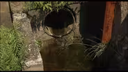 Water Clean-up
