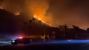 CA Sets Aside $170 Million To Thin Vegetation To Help Prevent Wildfires