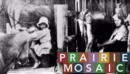 Prairie Mosaic 907
