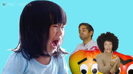 Video thumbnail: Parentalogic Why Toddlers Throw Tantrums