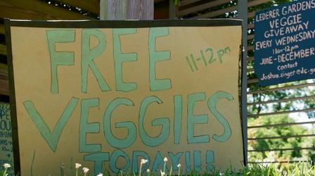Video thumbnail: If You Lived Here Deanwood Neighbors Fight Food Insecurity