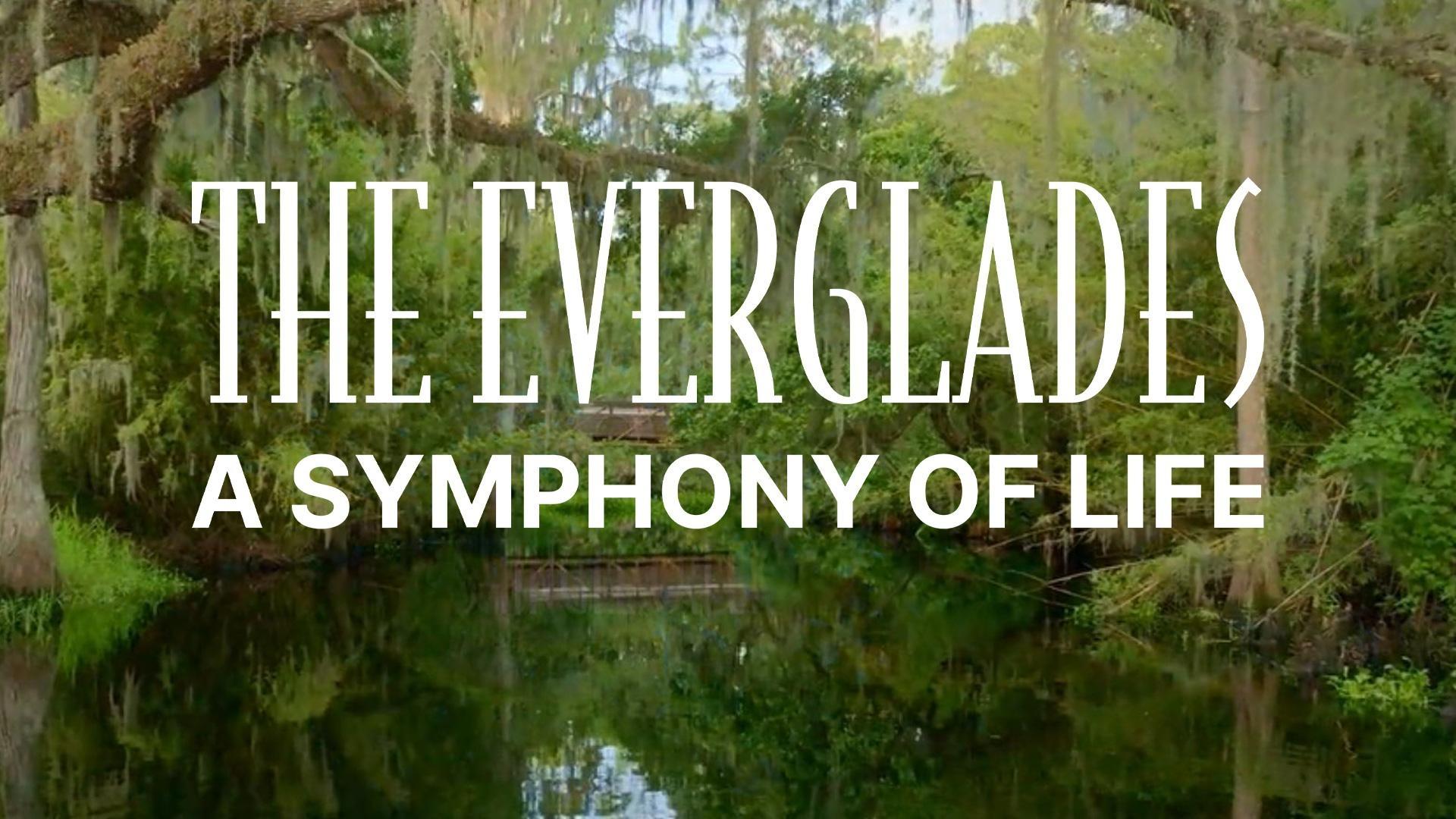 An orchestral telling of the balance of nature, humanity’s impact and hope for renewal.