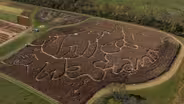 Corn Maze with a Message