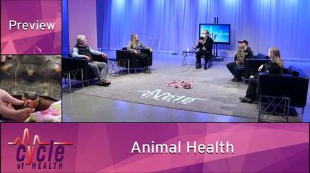 Video thumbnail: Cycle of Health Animal Health