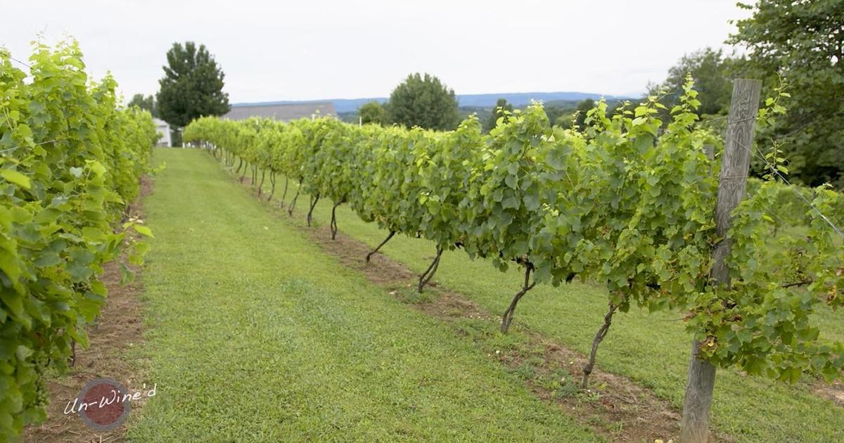 UnWine'd New River Vineyard and Winery Season 5 Episode 7 PBS