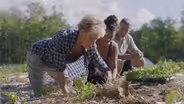 Bringing African Farming Home