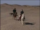 The Silk Road