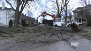 Severe Storm Damage