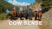 Cow Sense