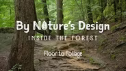 Floor to Foliage