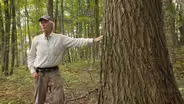 Walk in the woods with an old growth guide