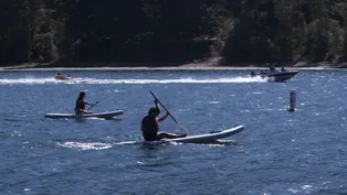 Willamette Recreation