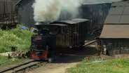 Carpathian Logging Railroad