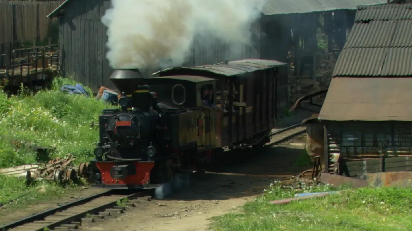 Carpathian Logging Railroad