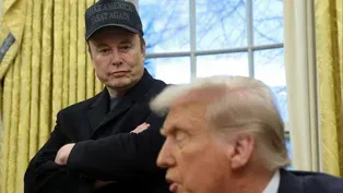 The Elon Effect
