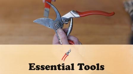 Video thumbnail: Let's Grow Stuff Getting Started with Gardening: Essential Tools