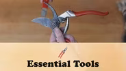 Getting Started with Gardening: Essential Tools
