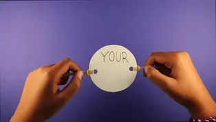 Create an Optical Toy: Thaumatrope