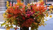 NYC-ARTS Choice: "Flower Flash"