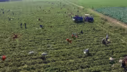 Virginia's new helpline supports wellbeing of farmers