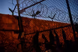 Visiting the border, Trump says immigration 'system is full'