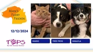 12/12/2024 | Mario, Tree Frog and Mikayla | Mark's Furry Friends