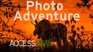 Photo Adventure