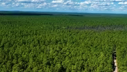 Inside look: The Pinelands