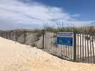 New Jersey plans for cautious reopening of beaches