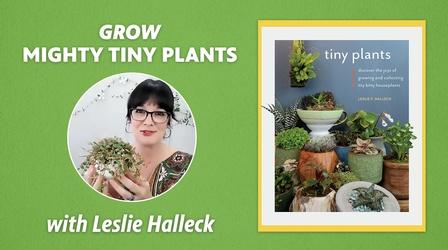 Video thumbnail: Central Texas Gardener Grow Mighty Tiny Plants!