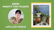 Grow Mighty Tiny Plants!