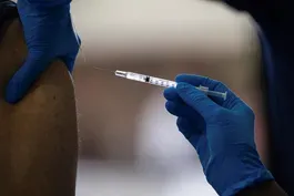 Moderna official on vaccines for kids, omicron-specific shot