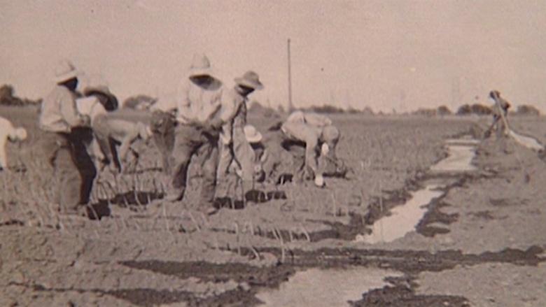 KVIE Documentaries Image