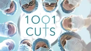 1001 Cuts