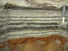 2-million-year-old DNA reveals new details about life