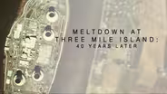 Meltdown at Three Mile Island: 40 Years Later - Preview
