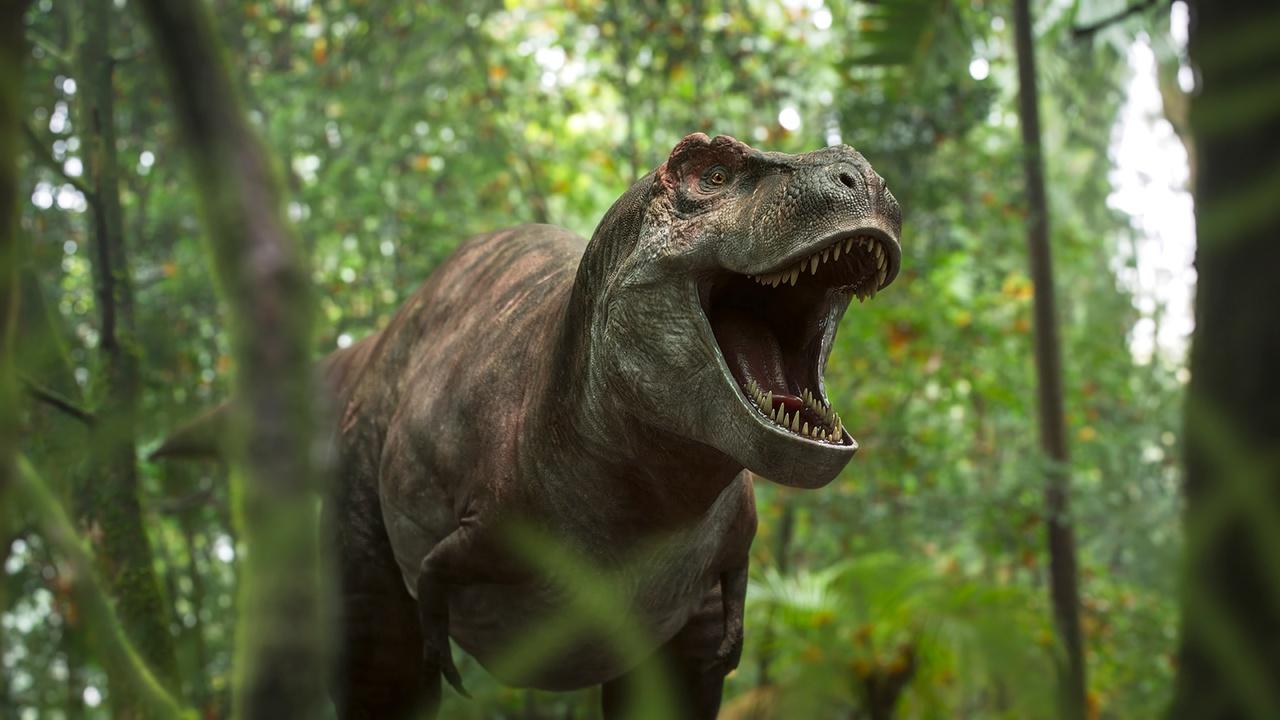 Walking with Dinosaurs | The Orphan