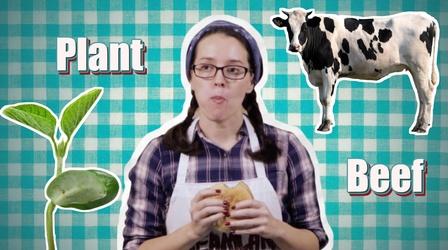 Video thumbnail: Serving Up Science Burger Brawl: Plant Protein Vs Meat