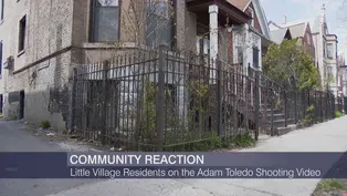 Live from Little Village: Community Reacts to Video Release