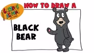 Black Bear